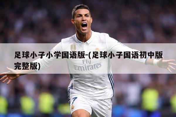 足球小子小学国语版-(足球小子国语初中版完整版)