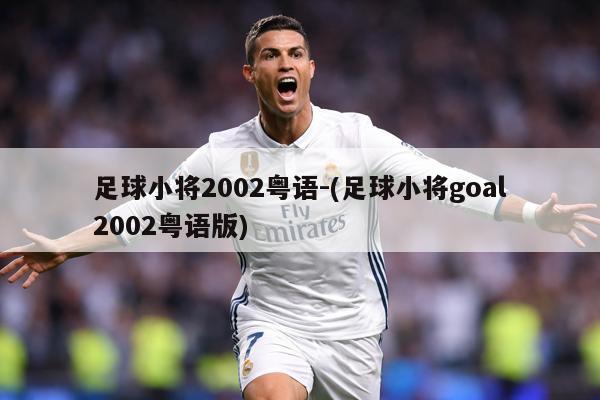 足球小将2002粤语-(足球小将goal2002粤语版)