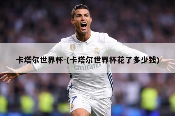 卡塔尔世界杯-(卡塔尔世界杯花了多少钱)