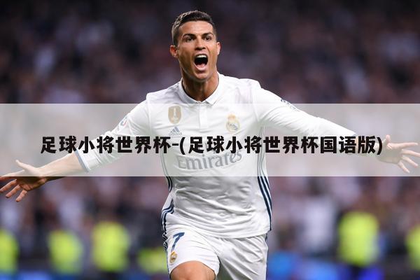 足球小将世界杯-(足球小将世界杯国语版)