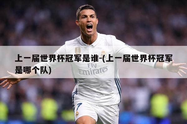 上一届世界杯冠军是谁-(上一届世界杯冠军是哪个队)