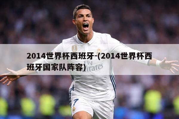 2014世界杯西班牙-(2014世界杯西班牙国家队阵容)